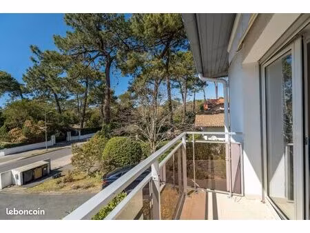 studio 1 pièce 21 m²