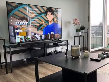 location f2 rénové entièrement meublé - strasbourg 67200