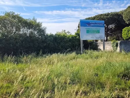 vente terrain 138 m² à dolus-d'oléron (17550)  79 900 €