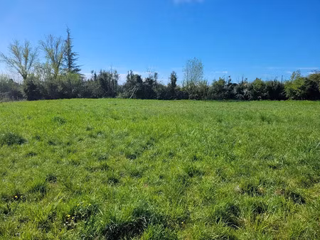 vente terrain 2025 m² à castelnau-montratier (46170)  48 500 €