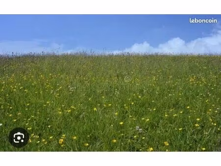 location pré / champ