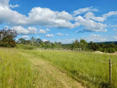 vente terrain 1500 m² à sanilhac (24660)  55 000 €