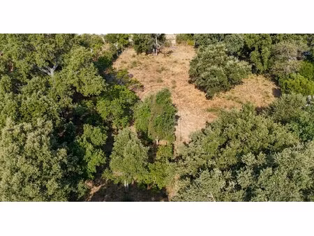 terrain constructible situé à lecci