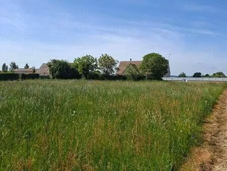 terrain constructible viabilisé à vendre