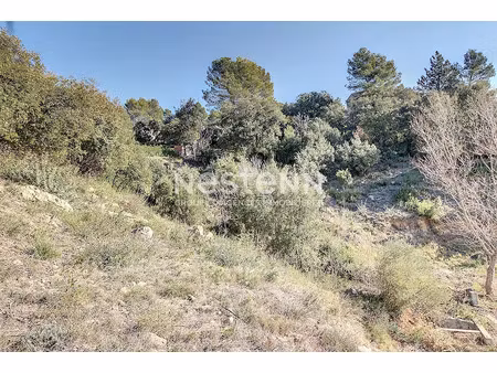 vente terrain 657 m² à taradeau (83460)  96 000 €
