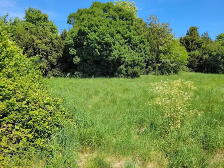 vente terrain 1246 m² à arvert (17530)  230 000 €
