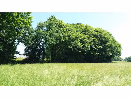 vente terrain 1074 m² à erquy (22430)  240 000 €