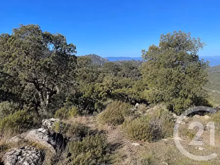 vente terrain 56853 m² à scolca (20290)  213 000 €