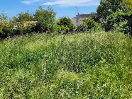 vente terrain 1043 m² à la tremblade (17390)  219 000 €