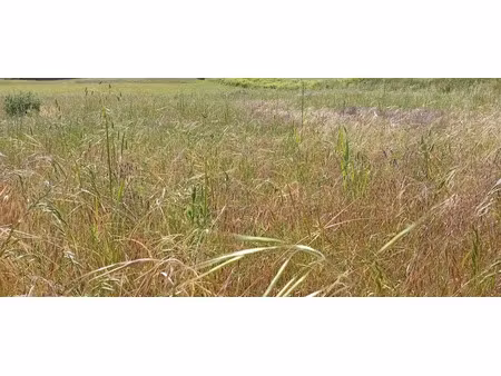vente terrain à batir 910 m² à villeneuve-saint-germain (02200)  84 000 €