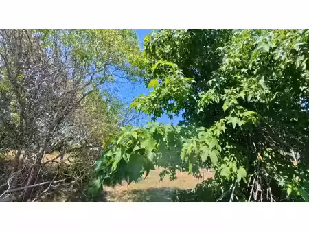 vente terrain 759 m² à chasselay (38470)  85 700 €