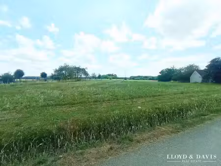 vente terrain à batir 5521 m² à saint-sérotin (89140)  97 000 €