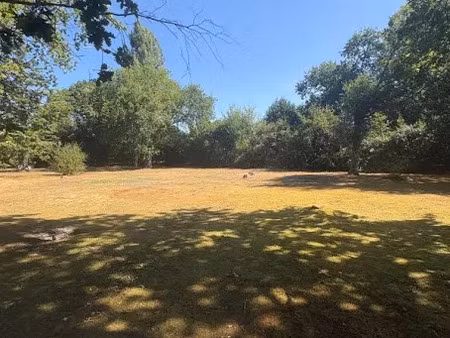 vente terrain 900 m² à biscarrosse (40600)  180 000 €