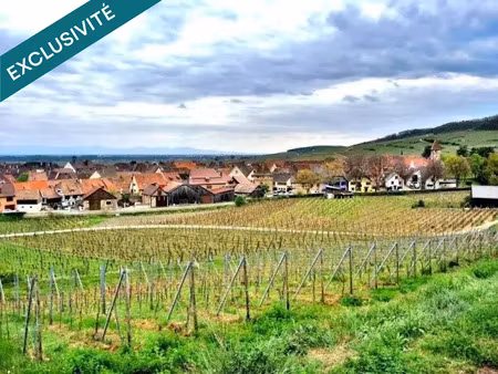 vente terrain à batir 1639 m² à ammerschwihr (68770)  299 000 €