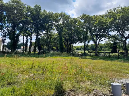 vente terrain 570 m² à saint-michel-chef-chef (44730)  270 000 €
