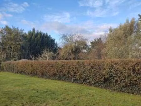 vente terrain à nantes (44000) : à vendre / nantes