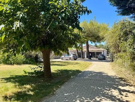nimes immobilier