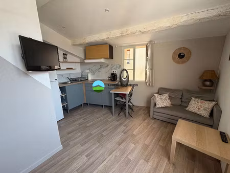 location appartement 1 pièce 19.3 m² à mazan (84380)  370 €