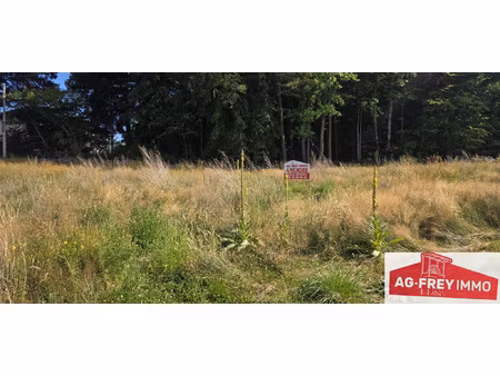 a vendre beau terrain plat de 21 69 ares à labaroche dans le
