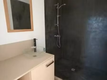 bel appartement traversant proche n58 meublé 1chambre