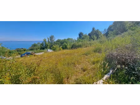 publier ? terrain constructible de 1 810 m² avec vue panoramique sur le lac léman