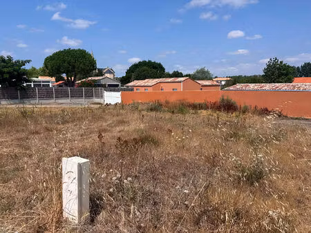terrain notre dame de riez 445 m2