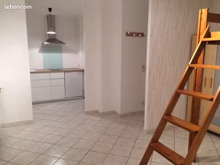 t1 studio loos