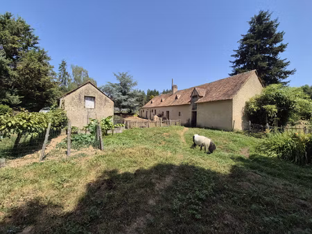 a vendre - exceptionnel ! secteur de parce sur sarthe