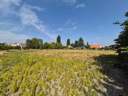 terrain groffliers 1138 m2