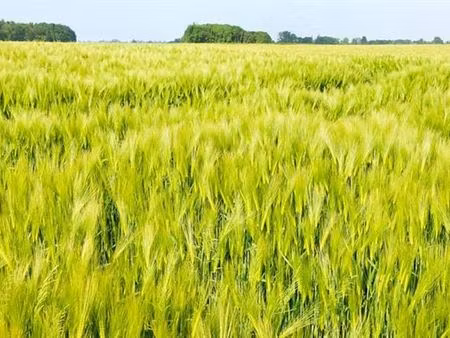 terrain à vendre à céroux-mousty € 2.291.000 (lqo60) - comptoir foncier | zimmo