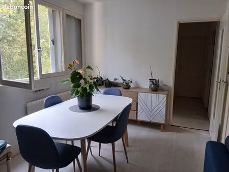 appartement centre orléans