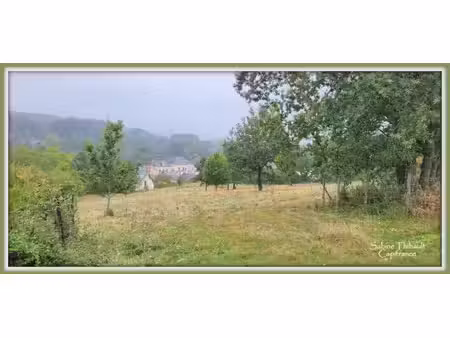 en vente terrain constructible 56 3 ares – 7 500 € |saint-germain-d'arcé