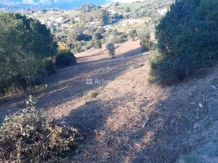 à vendre terrain constructible sur la plaine de cuttoli