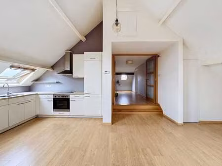 chouette appartement 2 chambres avec jardin.