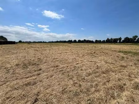 vente terrain 2796 m² castelsarrasin (82100)