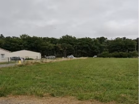 terrain à vendre fleure (86)