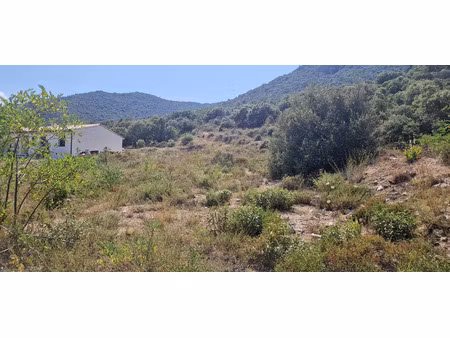 vente terrain 1317m2 montalba-le-château 66130 - 77000 € - surface privée