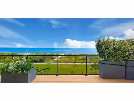 appartement avec piscine sainte marie la mer (66)