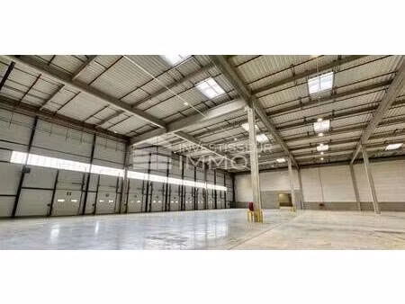 location entrepôt villenoy 77124 9825m²