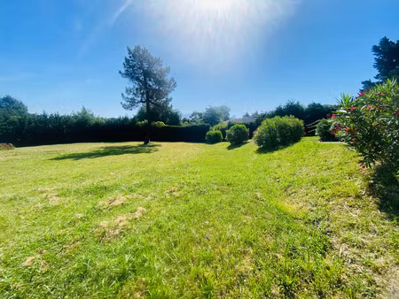 vente terrain 2000m2 céret 66400 - 336000 € - surface privée