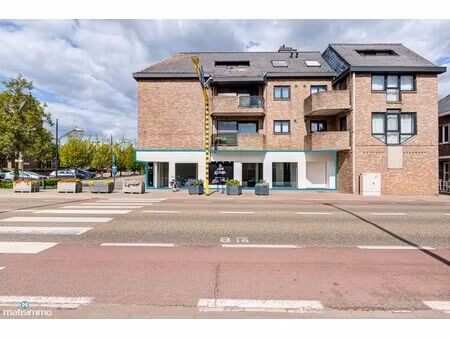 commercieel te koop in bilzen