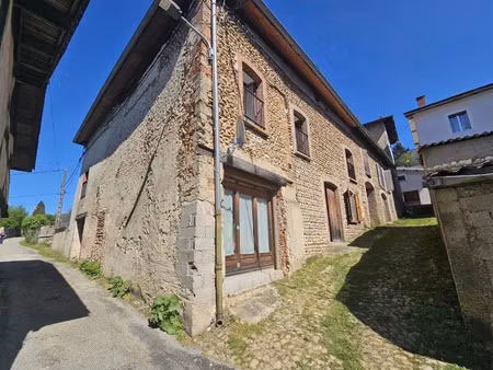 vente immeuble 8 pièces 219 m² à roybon (38940)  215 000 €