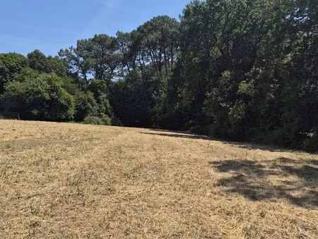 terrain à bâtir à boucau (64340)