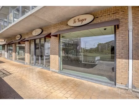 commercieel te koop in de panne