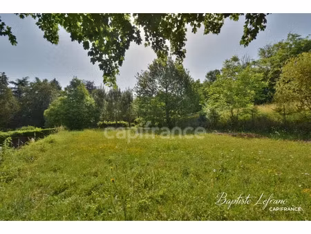 vente terrain 1000 m² à beauvau (49140)  45 000 €