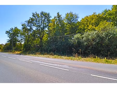 vente terrain 1500 m² à tracy-sur-loire (58150)  20 000 €