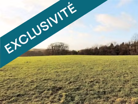 vente terrain 532 m² saint-germain-du-seudre (17240)