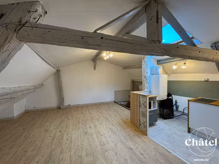 appartement centre-ville de senlis