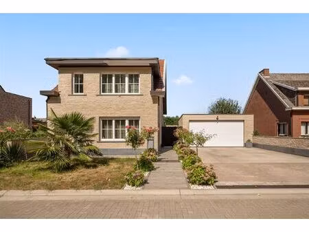 huis te koop in sint-katelijne-waver met 5 slaapkamers