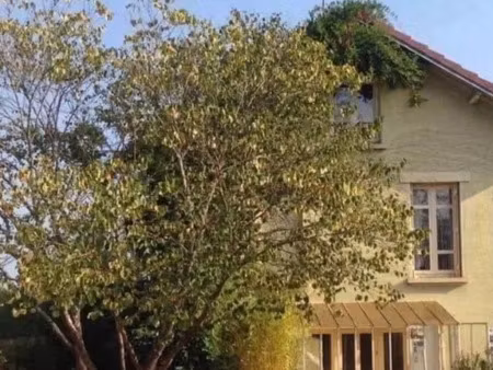 vente maison 15 pièces 240 m² à lux (71100)  340 000 €